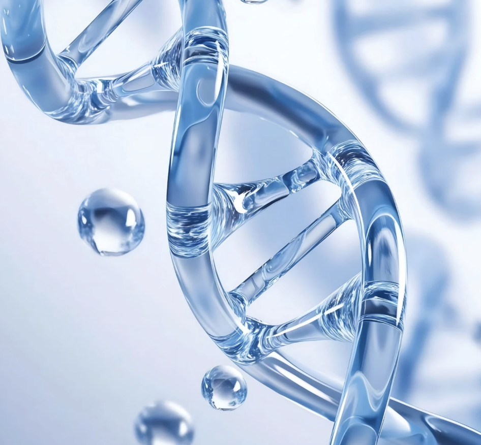 Functional Medicine